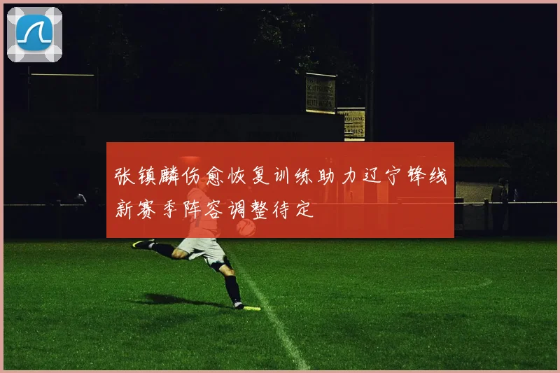 张镇麟伤愈恢复训练助力辽宁锋线新赛季阵容调整待定