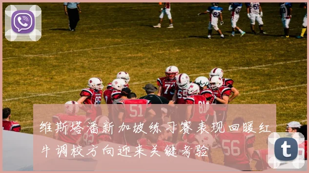 维斯塔潘新加坡练习赛表现回暖红牛调校方向迎来关键考验