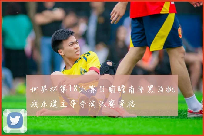 世界杯第18比赛日前瞻南非黑马挑战东道主争夺淘汰赛资格